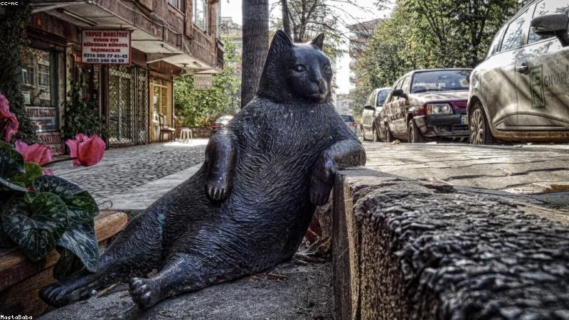猫咪tv海量影视番剧片库